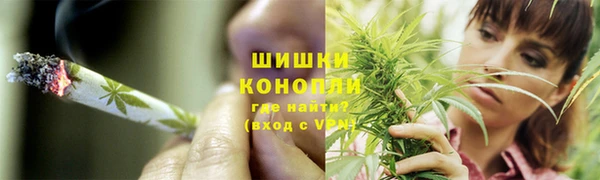 PSILOCYBIN Баксан