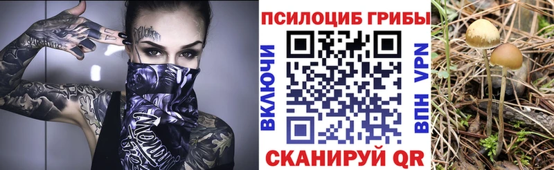 Галлюциногенные грибы Cubensis  где купить   Борзя 
